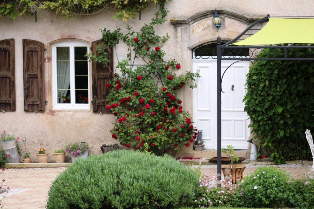 Le Clos D'Albray - Chambres D'Hotes Et Gite Comps-la-Grand-Ville Luaran gambar